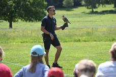 Falconry Displays at Barrington Court