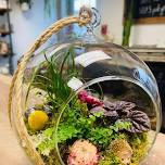 Hedgehog Terrarium Globe Garden Workshop