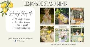 Lemonade Stand Mini Sessions - AJ Photography