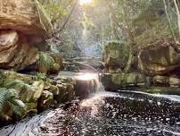 Hells gate, Orange Kloof, Table Mountain