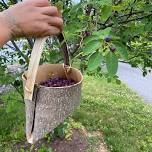 FolkLife - Workshop Bark Baskets