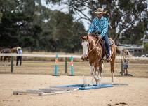 HIGH COUNTRY AT MANSFIELD ZOO EXCA RACE