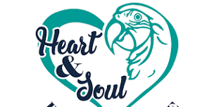 Heart & Soul Parrot Rescue Class