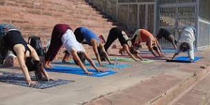 200 Hour Yoga Teacher Training  in Rishikesh