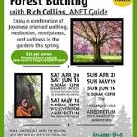 Forest Bathing with Rich Collins, ANFT Guide