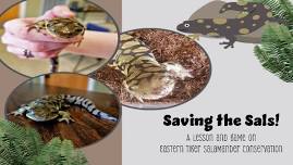 Saving the Sals! The Conservation of Eastern Tiger Salamanders