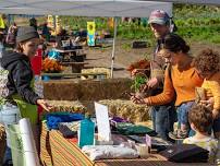 Esperanza Community Farm: Organic Farming Festival