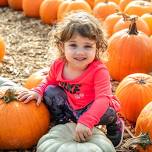 Harvest Festival Weekend  — Liberty Ridge Farm | Family Things to Do | Albany, NY | Saratoga, NY