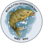 North-West University Water Research Group World Fish Migration Day