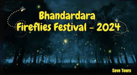 Fireflies Special Bhandardara Camping