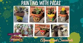 Wine and Palette: Alpacas and Succulents