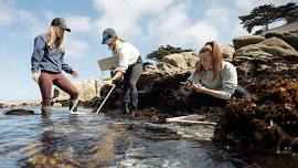 Julie Pourtois - Biology PhD Dissertation Defense 