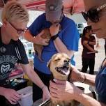 Fort Collins Clinic      — The Street Dog Coalition