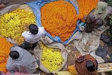 Half Day Tour to the Flower Market and Howrah Bridge in Kolkata