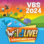 WildLive! Vacation Bible School