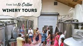 Winery Tour