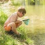 Pond Dipping