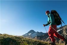 Eagles Have Landed!-guided hike