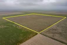 Auction for 4,000 +/- Acres, Rolla, KS 67954