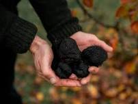 An Evening With Buxton Black Truffles