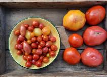 Tour the Rutgers Gardens Student Farm