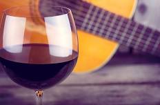 Live Music at the Vineyard featuring Gabriel Fueston