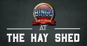 Bingo For a Cause