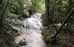 Guided Bear Pen Branch Falls Hike