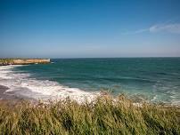 Wilder Ranch State Park: Guided Coastal Nature Walk