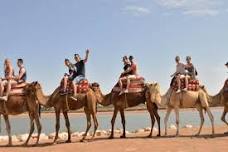 Half Day Agadir Camel Safari: Experience Morocco's Countryside & Souss Massa National Park