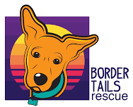 McHenry Fiesta Days — Border Tails Rescue