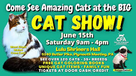 FELINE FANCY?  Come See the Amazing Cats June 15th at the BIG PLYMOUTH MEETING CAT SHOW!