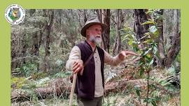 Our Tall Eucalypts – Guided Walk Mon 8 April  Heytesbury District Landcare Network (Vic)