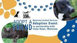 Pet Adoption Event