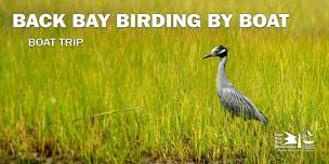 Back Bay Birding by Boat on the Osprey