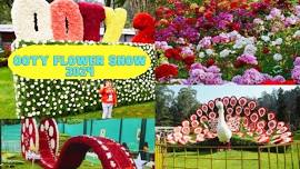 Ooty Flower Show 2024