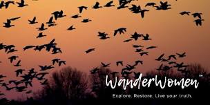 Wild Geese Wander