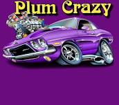 PLUM CRAZY Live