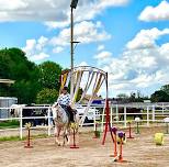 SR Obstacle Clinics & Challenge at CVEP