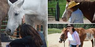 Equine Vision Journey Retreat