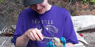 Kayaking & Oyster Harvesting Tour