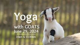 Yoga with Goats