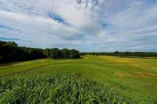 Cahokia Mounds Presentation