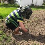 Morning on the Farm: Sprouts