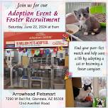 Kitten Dream Adoption and Foster Event