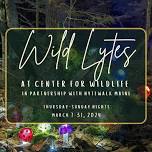 Wild Lytes Enchanted Walk at Center for Wildlife