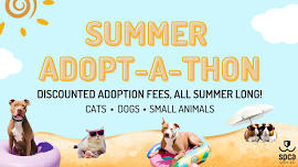 SPCA Tampa Bay’s Summer Adopt-A-Thon