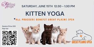 Kitten Yoga (Benefit for Great Plains SPCA)