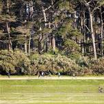 Polo Fields Track Tuesday