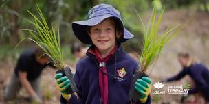 National Tree Day | Regents Park